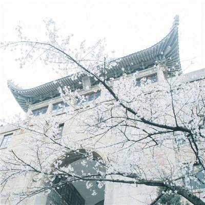 广东粤海饲料集团股份有限公司关于控股股东部分股份解除质押的公告